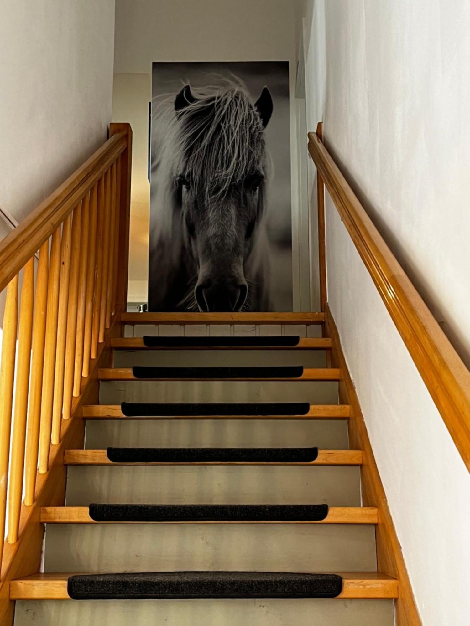 Ferienwohnungen Reiterhof Boltenhagen Luaran gambar