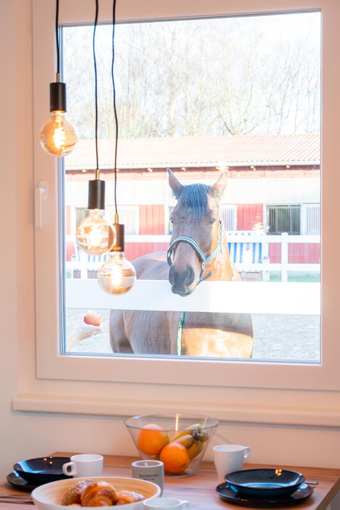 Ferienwohnungen Reiterhof Boltenhagen Luaran gambar